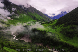 valley-of-flowers-in-july-view